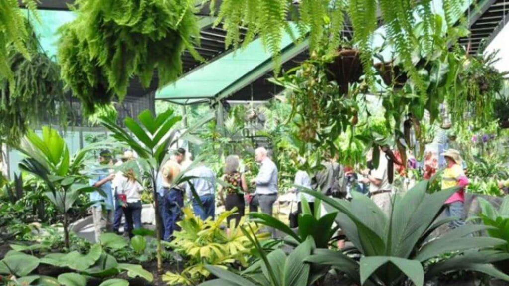 Cairns Botanic Garden