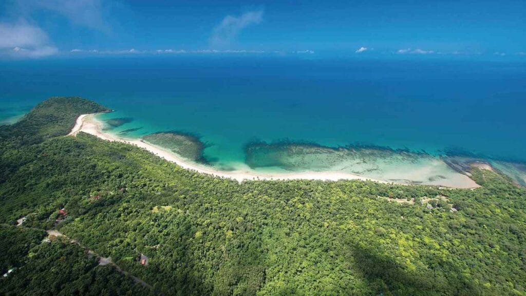 Daintree Rainforest