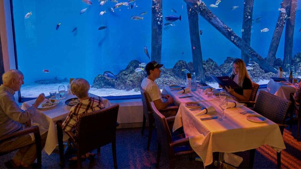 Dundee's at the Aquarium