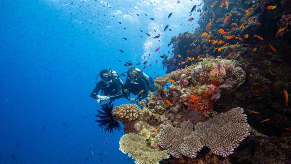 Great Barrier Reef