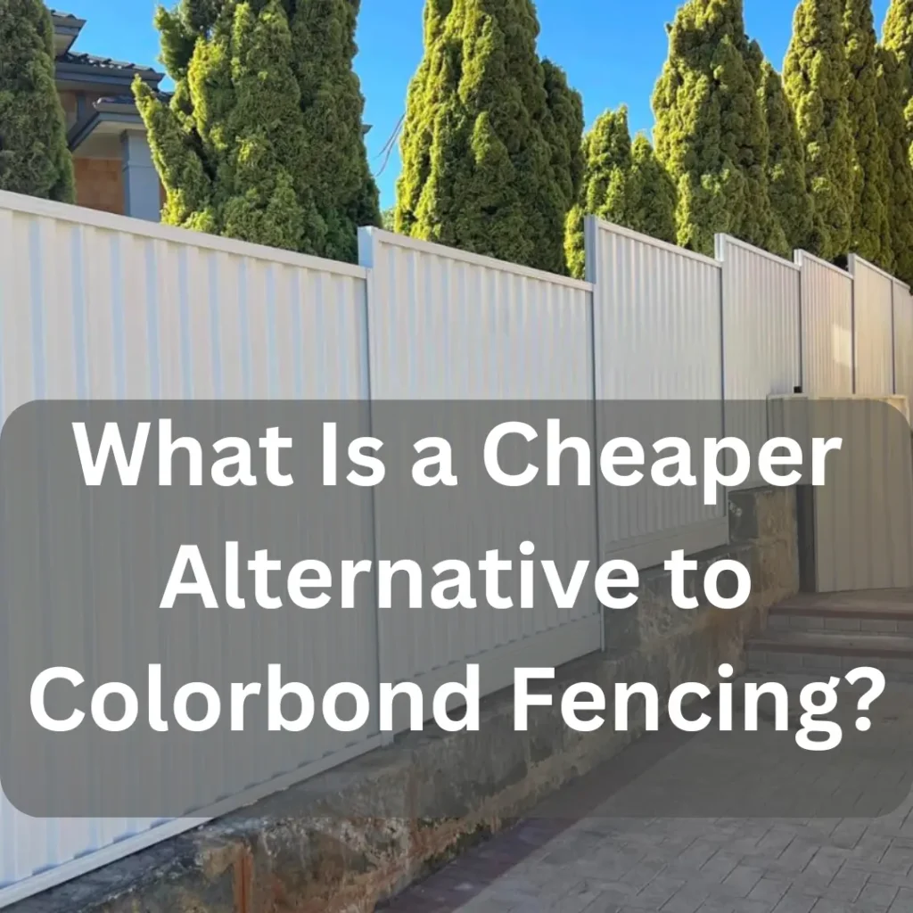 colourbond fencing alternatives